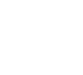 Distribuidora MV